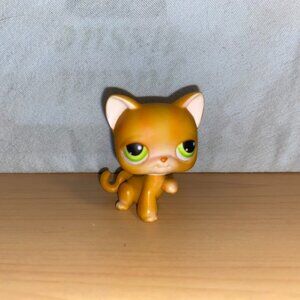 Littlest Pet Shop LPS Orange Shorthair Cat 011